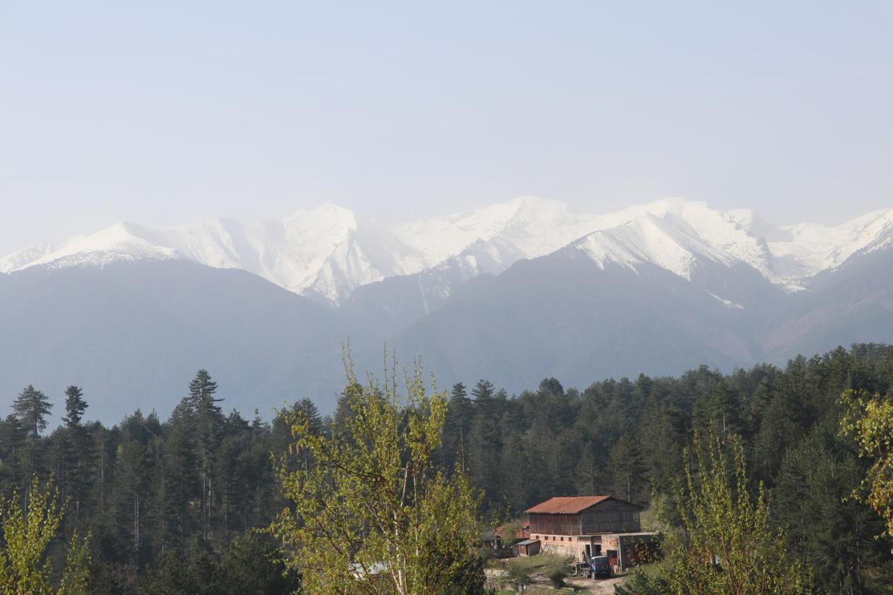 Katarino Spa Hotel Bansko Eksteriør billede